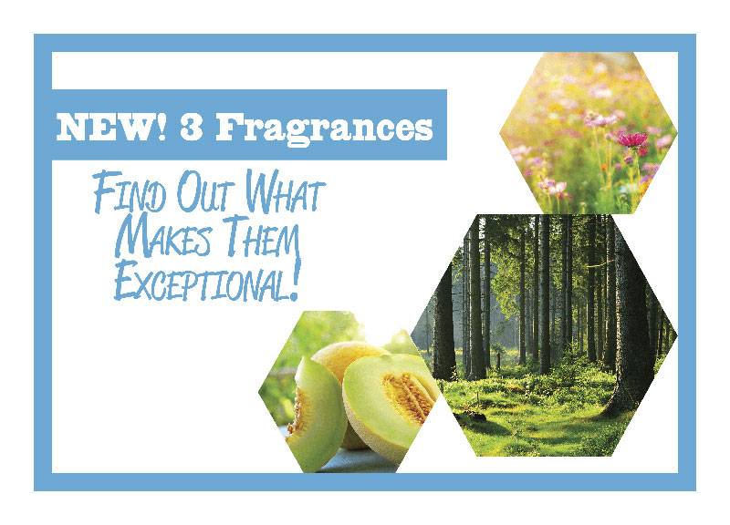 Experience Our 3 Newest Fragrances!